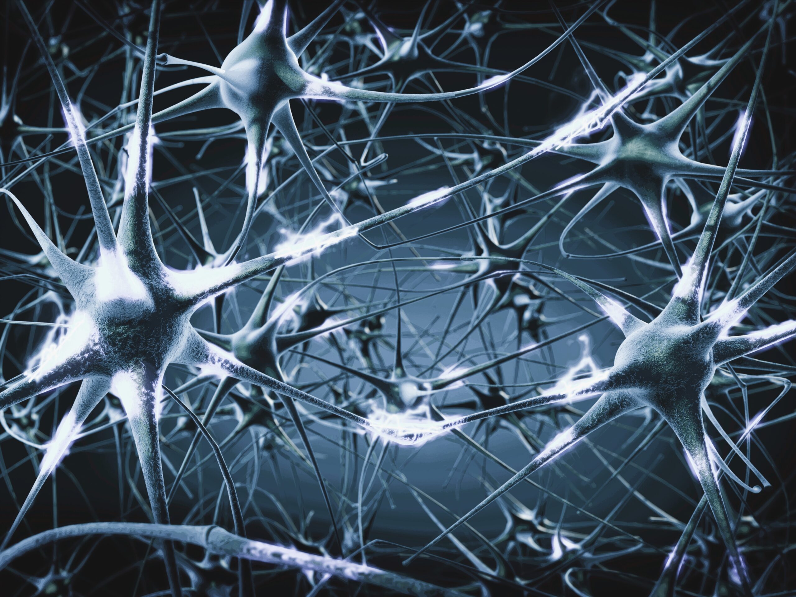 Im Bild ist ein neuronales Netzwerk zu sehen, das darauf verweist, dass Wissen über unsere Neurobiologie nützlich ist, um zu verstehen, warum wir uns verhalten, wie wir uns verhalten; gerade in Konflikten.